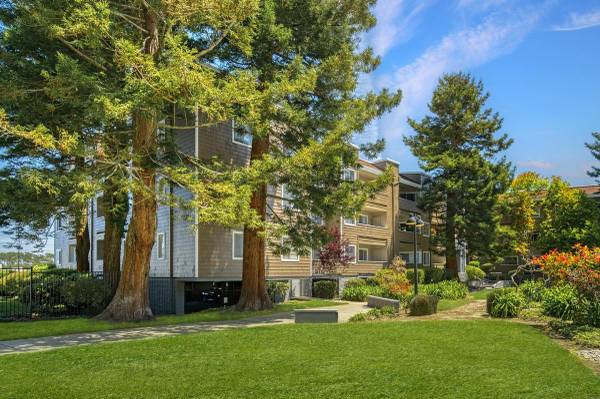 0BR/1BA Apartment on Campus Dr · Daly City photo 5