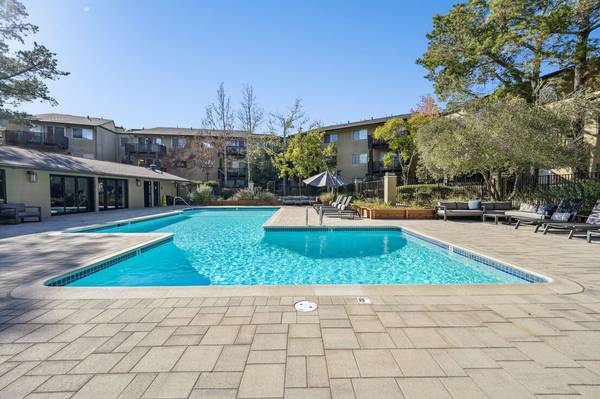 2BR/1BA Apartment · Larkspur photo 5