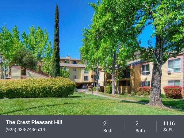 Apartments on Camelback Road · Pleasant Hill photo 3