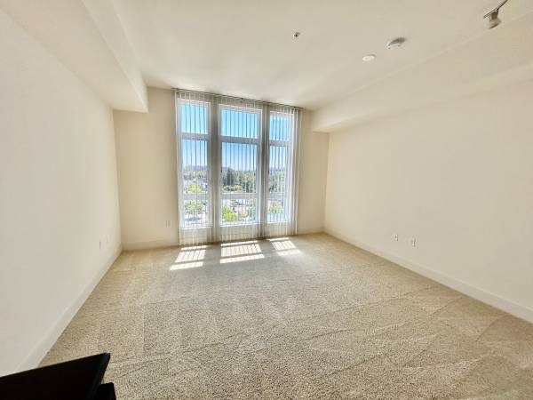 2BR/3BA Apartment · San Jose photo 2