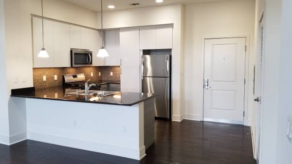 1BR/1BA Apartment · San Jose photo 3