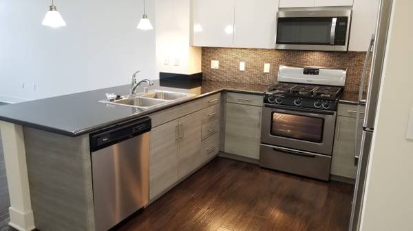 1BR/1BA Apartment · San Jose photo 2