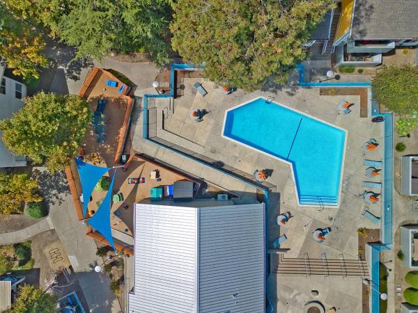 Apartments on Springlake Drive · San Lorenzo photo 3