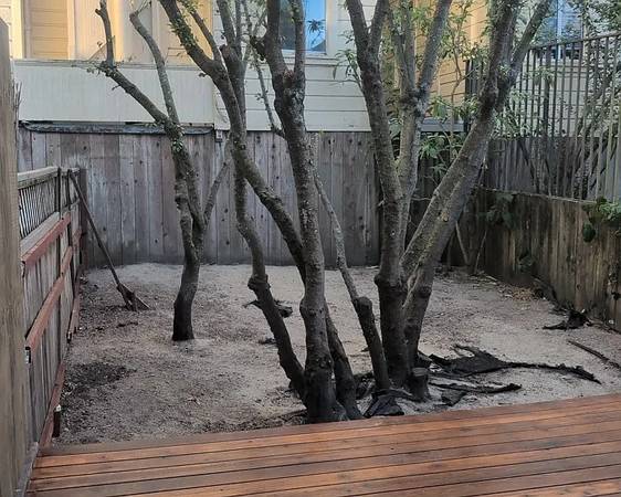 1BR/1BA Apartment · San Francisco photo 4