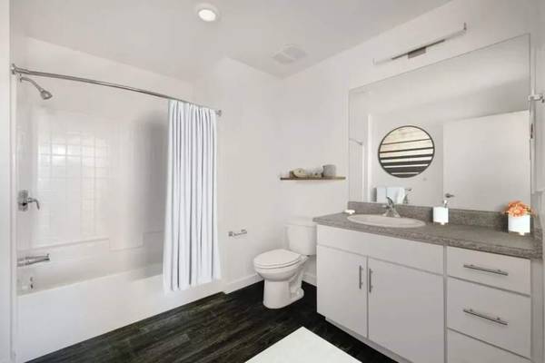 Apartments on Main St · Redwood City photo 3