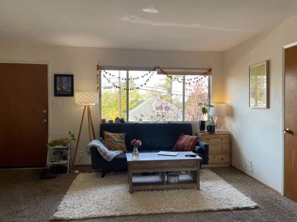 1BR/1BA Apartment on Wilton Ave. · Sebastopol photo 2