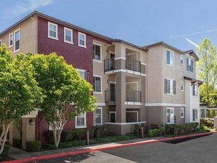 Apartments on Park Place · San Ramon photo 4
