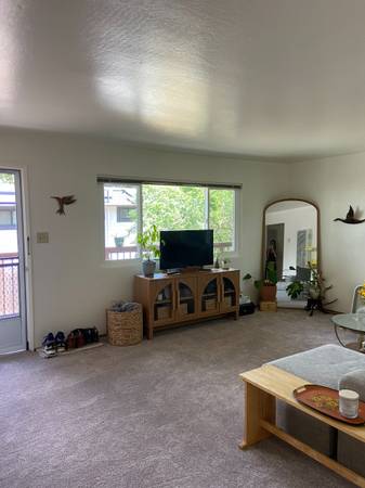 2BR/1BA Apartment on Wilton Ave · Sebastopol photo 3