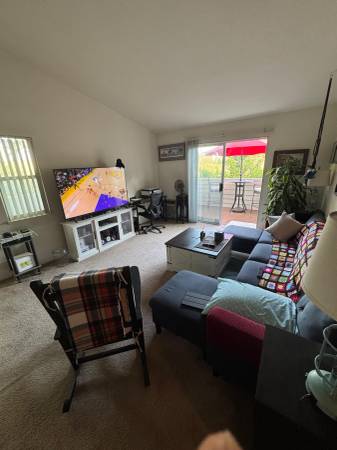 1BR/1BA Apartment · San Jose photo 2
