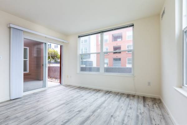 Miraloma Park: Spacious Single Family Home w/Garage  Yard photo 3