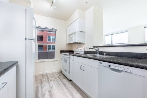 Miraloma Park: Spacious Single Family Home w/Garage  Yard photo 5