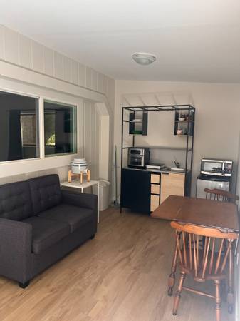 1BR/1BA In Law Adu on Misty Lane · Aptos photo 2