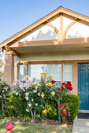 1BR/1BA Apartment · Sunnyvale photo 3
