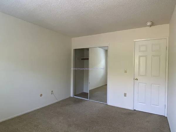 Bellevue Apartments photo 2