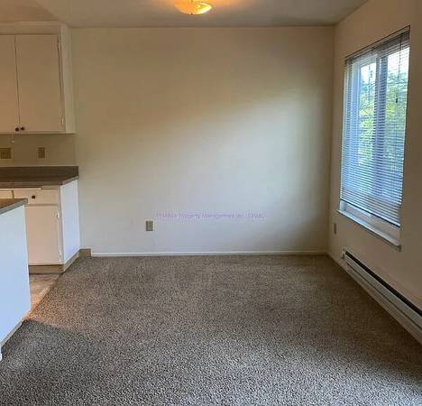 Bellevue Apartments photo 5