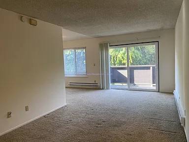 Bellevue Apartments photo 3