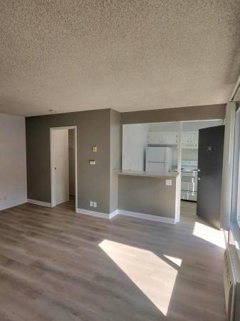 Apartments on Loma Verde Drive · Campbell photo 2