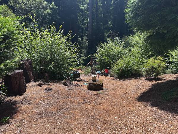 0BR/1BA Apartment · Pescadero photo 5