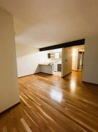 1BR/1BA Apartment · San Rafael photo 3