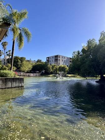 1BR/1BA Condo on N Civic Drive · Walnut Creek photo 2