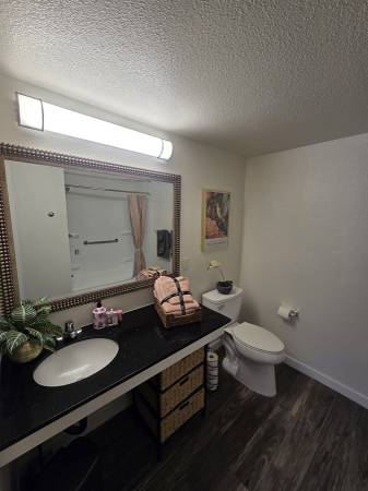 1BR/1BA Apartment on South El Camino Real · San Mateo photo 4