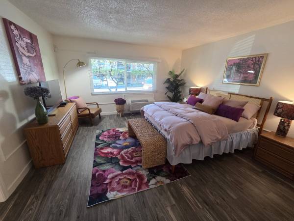 1BR/1BA Apartment on South El Camino Real · San Mateo photo 2