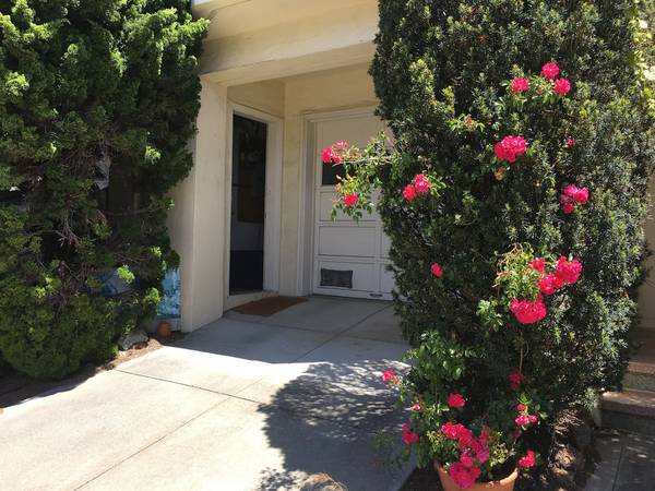1BR/1BA In Law Adu · San Francisco photo 2