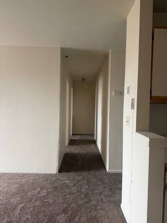 1BR/1BA Apartment on Bissell Ave Near Marina Way · Richmond photo 4