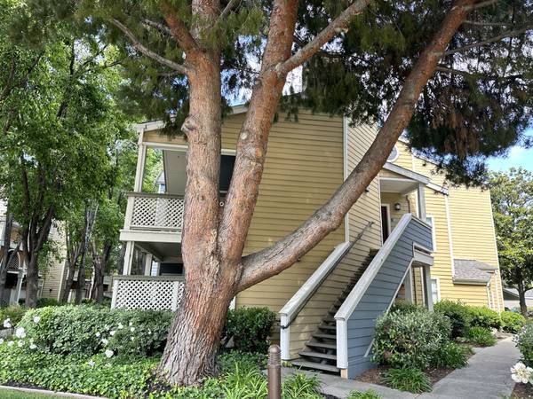 2BR/2BA Apartment · San Jose photo 2