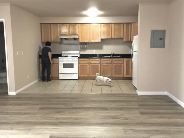 1BR/1BA Apartment on Fifth Ave · Oakland photo 3