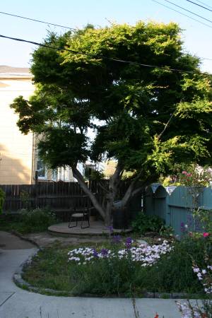 2BR/1BA Apartment · Oakland photo 4