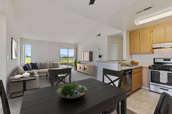 1BR/1BA Apartment · Tracy photo 4