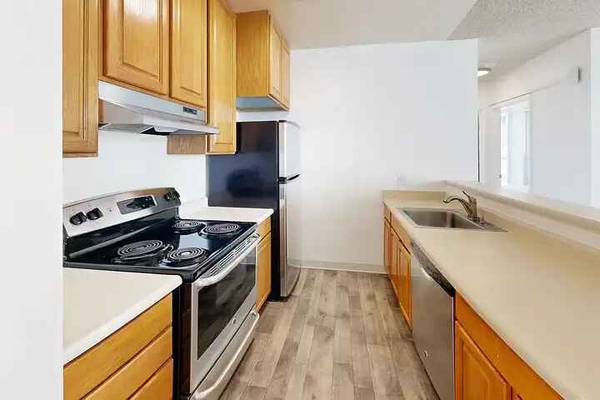 1BR/1BA Apartment · San Francisco photo 2