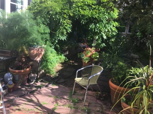 1BR/1BA Apartment · San Francisco photo 3