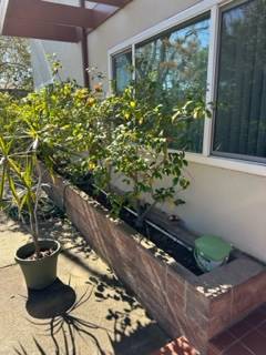 2BR/1BA Apartment on Ash Street · Palo Alto photo 3