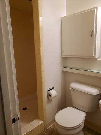 1BR/1BA Apartment · Mill Valley photo 3
