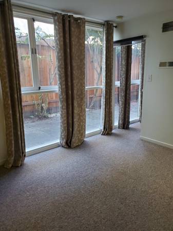 1BR/1BA Apartment · Mill Valley photo 2