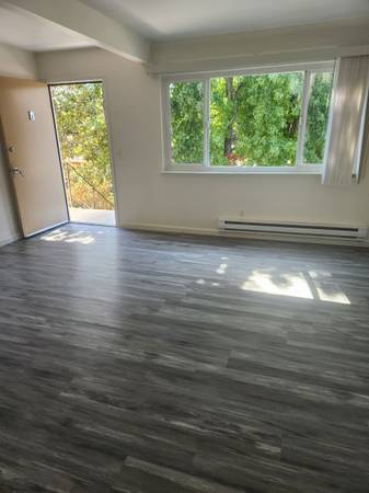 0BR/1BA Apartment · San Jose photo 2