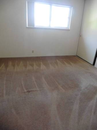 1BR/1BA Apartment · Los Gatos photo 5