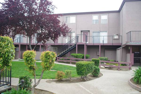 Apartments on Pine Street Near Clayton Road · Concord photo 2