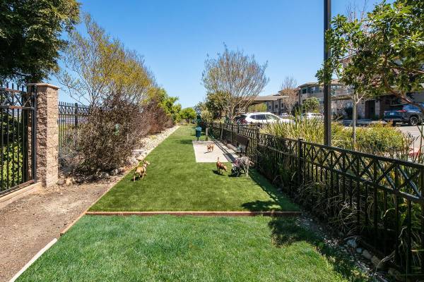 Apartments on Dowdell Avenue · Rohnert Park photo 2
