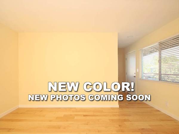 1BR/1BA Apartment on Ventura Avenue · Palo Alto photo 2
