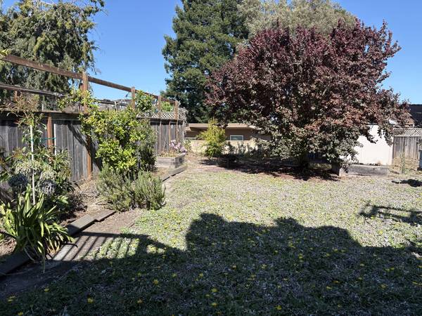 1BR/1BA Apartment · Santa Cruz photo 5