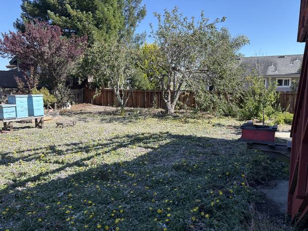 1BR/1BA Apartment · Santa Cruz photo 4