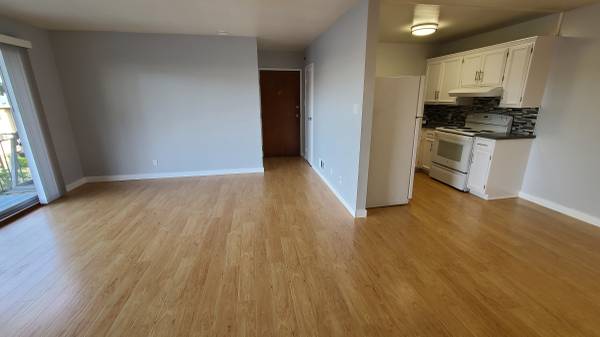 1BR/1BA Apartment · San Francisco photo 4