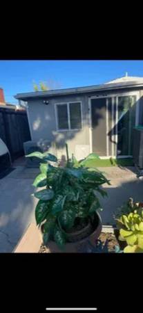 1BR/1BA Apartment · San Jose photo 4