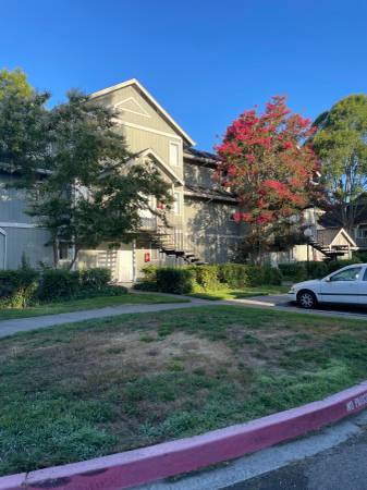 1BR/1BA Apartment · Rohnert Park photo 5