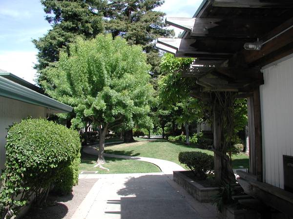 2BR/2BA Apartment on Gading Rd · Hayward photo 2