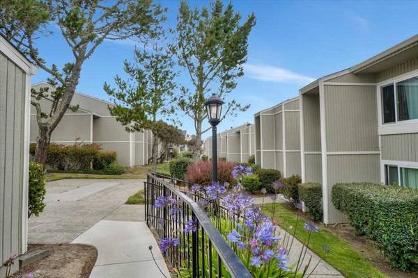 1BR/1BA Apartment on Callan Blvd · South San Francisco photo 2