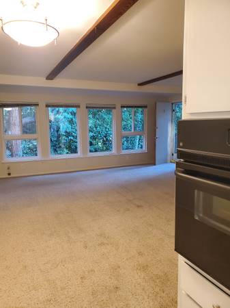 1BR/1BA Apartment · San Rafael photo 3
